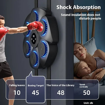 Boxing Exercise Kit