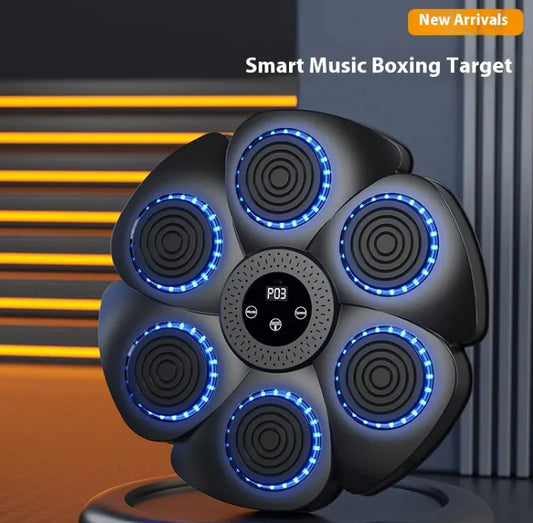 Boxing Exercise Kit